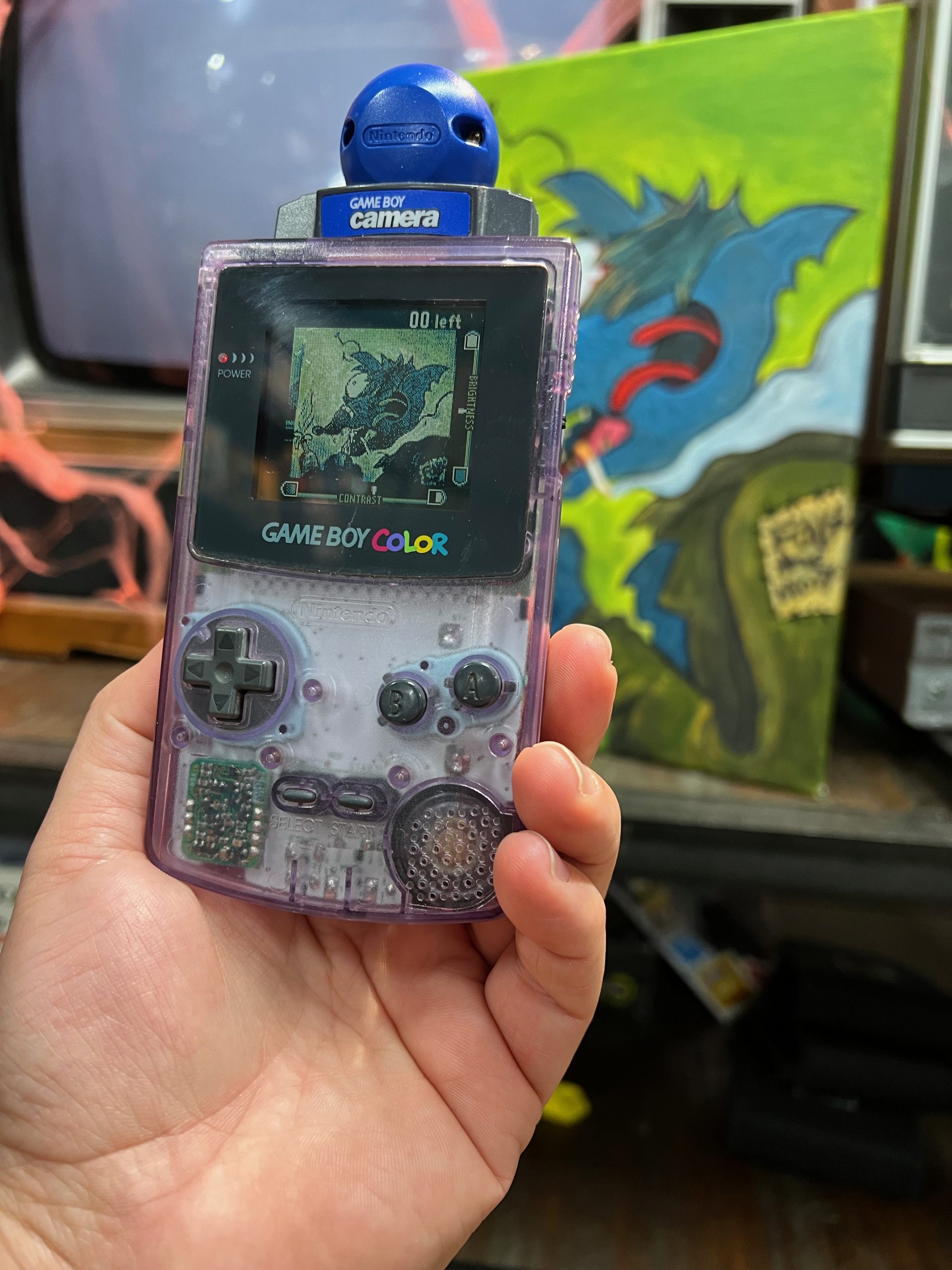 The 2022 Guide to Game Boy Camera Photography
